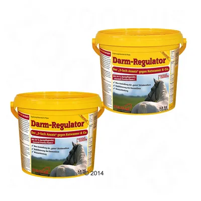 Două găleți galbene Marstall Darm-Regulator, 3,5 kg, cu imagine de cal și text în limba germană pe etichetă. Supliment alimentar pentru cai.