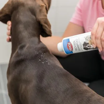 Persona applica Trixie Trocken Shampoo in polvere sul dorso di un cane marrone. Etichetta visibile con immagine di cane e gatto.