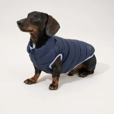 Nomad Tales Bloom Hundemantel Puffer, lila/marineblau Nomad Tales Bloom Hundemantel Puffer, lila/marineblau