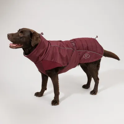 Nomad Tales Spirit Softshell-Hundemantel, burgunderrot Nomad Tales Spirit Softshell-Hundemantel, burgunderrot