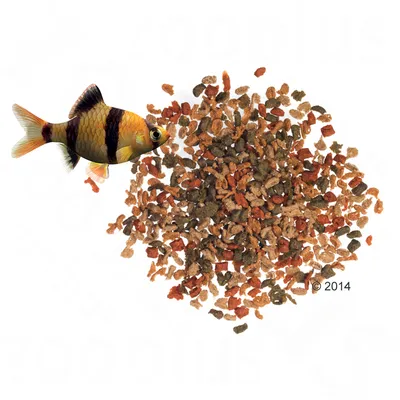 Nourriture pour poissons d’aquarium en granulés multicolores, poisson tropical à rayures visible à côté des granulés. Aucun emballage ou marque apparente.