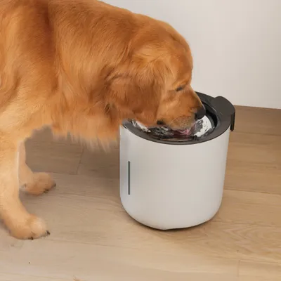 Zeus Oasis Drinking Fountain - Grey Zeus Oasis Drinking Fountain - Grey