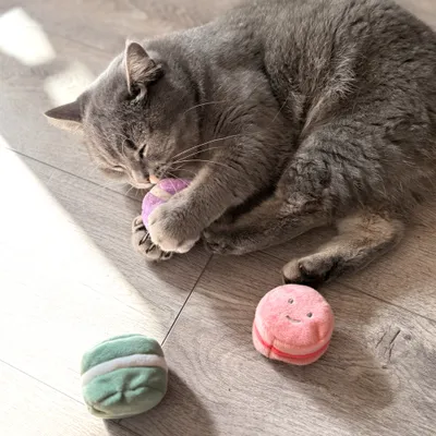 Aumüller Jouet Macarons pour chat Aumüller Jouet Macarons pour chat