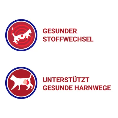 Texte en allemand : GESUNDER STOFFWECHSEL, UNTERSTÜTZT GESUNDE HARNWEGE. Icônes de chats avec symboles illustrant le métabolisme sain et le soutien des voies urinaires.