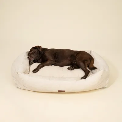 Großes, helles Hundebett mit einem liegenden braunen Hund darauf. Zeigt die Größe und Nutzung des Bettes.