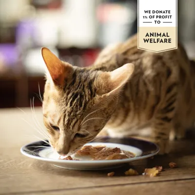 Sparpaket PrimaCat Classic in Soße 48 x 85 g