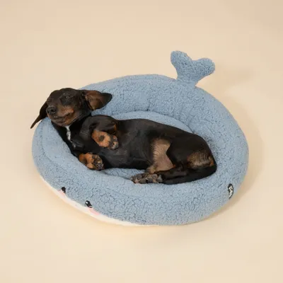 TIAKI Haustierbett Teddy Whale - Größe S: Ø 45 x H 12 cm