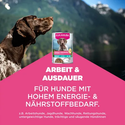 Eukanuba Special Care Adult Working & Endurance