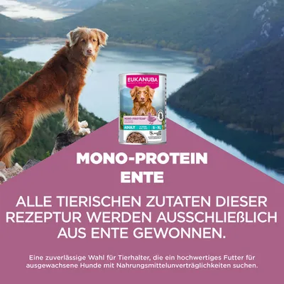 Eukanuba Special Care Adulte Mono-Protéine avec canard