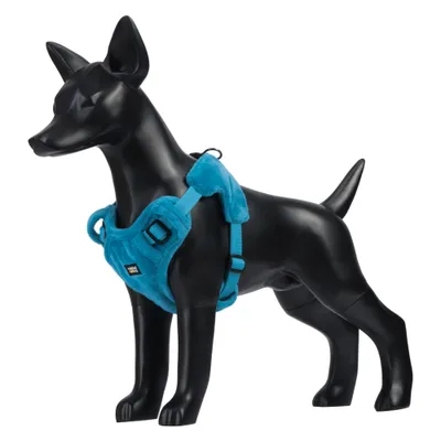 Rukka Geschirr Tiny, blau