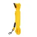 Icepeak Pet Schwimmleine