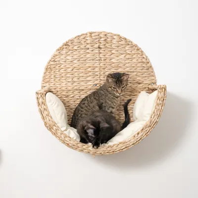 Circuito para gatos Modern Living Manarola, beige - Cama de pared Manarola Circuito para gatos Modern Living Manarola, beige - Cama de pared Manarola