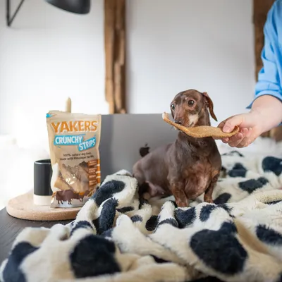 YAKERS Crunchy Strips - Saver Pack: Peanut Butter (3 x 70g) YAKERS Crunchy Strips - Saver Pack: Peanut Butter (3 x 70g)