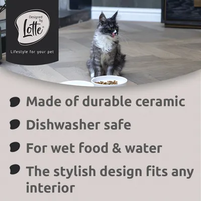 Designed by Lotte. Made of durable ceramic, Dishwasher safe, For wet food & water, The stylish design fits any interior. Text v angličtině.