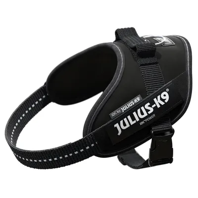 Black Julius-K9 IDC-Power harness with reflective stitching and sturdy fastener, suitable for dogs. Visible brand name: Julius-K9.