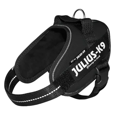 Черна Julius-K9 IDC нагръдник за кучета с отразяващи шевове и надпис 'Glowing in dark'.
