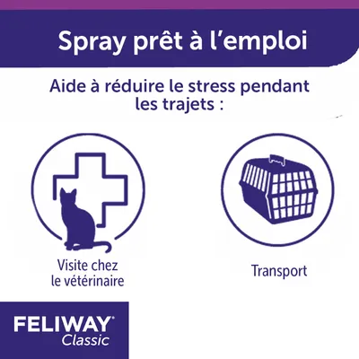 Spray prêt à l’emploi. Aide à réduire le stress pendant les trajets : visite chez le vétérinaire, transport. FELIWAY Classic.
