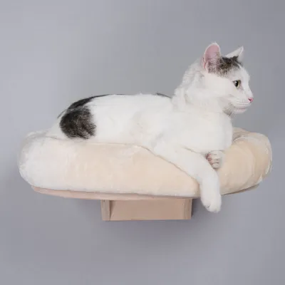 Chat blanc avec taches noires allongé sur un coussin rond beige fixé à un support mural en bois clair, fond uni gris.