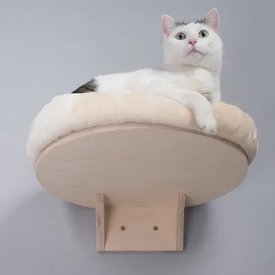 Plateforme murale en bois clair avec coussin beige, un chat blanc et gris allongé dessus. Support mural visible sous la plateforme.