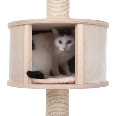 Kat in ronde kattenhuis van hout en pluche, bevestigd aan sisal krabpaal. Ingang zichtbaar aan de voorkant, kat zit binnen op zacht kussen.