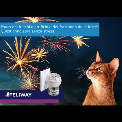 Testo: Paura dei fuochi d'artificio e del frastuono delle feste? Quest'anno sarà senza stress. Feliway, diffusore per gatti, con fuochi d'artificio e gatto sullo sfondo.