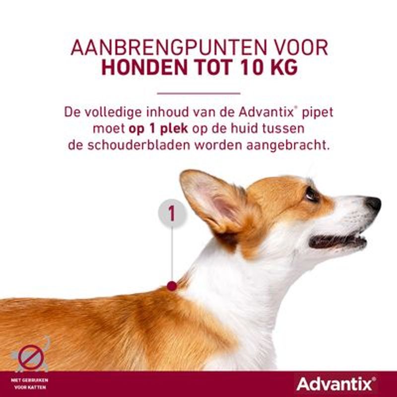 Advantix® 100/500 Spot-On Solution voor Honden 4 - 10 kg
