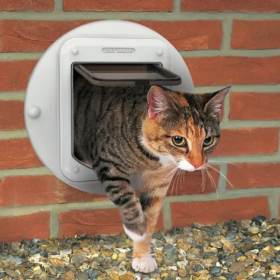 Mačka prehaja skozi okroglo mačje vratca Cat Mate, vgrajena v opečnato steno. Vidna so prozorna plastična vratca in bel okvir.
