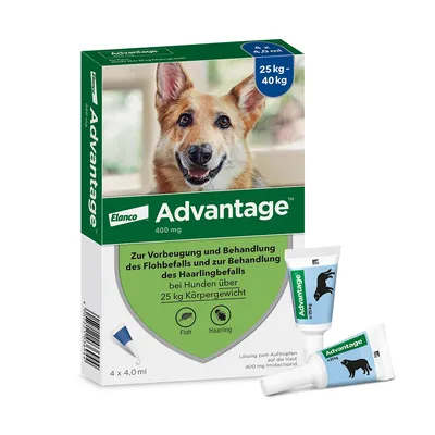 Boîte Elanco Advantage 400 mg, traitement antiparasitaire pour chiens de 25 à 40 kg, 4 pipettes de 4,0 ml. Texte en allemand visible sur l’emballage.