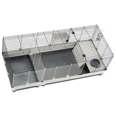Cage pour rongeur avec structure en métal, bac en plastique, maisonnette, gamelle et biberon d’eau visibles. Séparateur central amovible inclus.