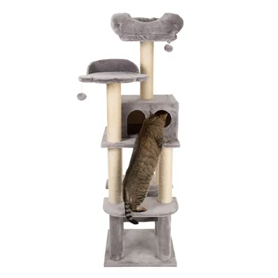 Grauer Kratzbaum mit mehreren Ebenen, Höhle und Liegeflächen. Eine Katze untersucht die Höhle des Kratzbaums.