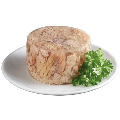 Shaped wet food made from meat pieces on a white plate, garnished with fresh parsley.
