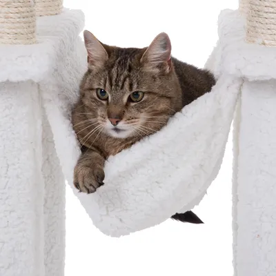 Katze liegt in einer weissen Hängematte aus Plüsch, befestigt zwischen zwei Kratzbaumstämmen mit Sisal.