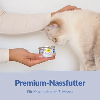Sparpaket GimCat ShinyCat Filet in Jelly 24 x 70 g Sparpaket GimCat ShinyCat Filet in Jelly 24 x 70 g