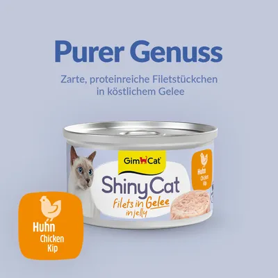 Sparpaket GimCat ShinyCat Filet in Jelly 12 x 70 g - Thunfisch & Hühnchen Mix Sparpaket GimCat ShinyCat Filet in Jelly 12 x 70 g - Thunfisch & Hühnchen Mix