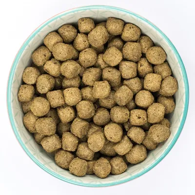 Bowl with brown, round dry food pieces. Product image for pet food.