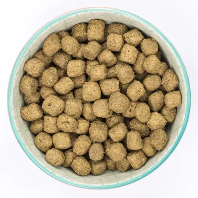 Cuenco con piezas redondas de pienso seco marrón. Primer plano del alimento sin información visible de marca o producto.