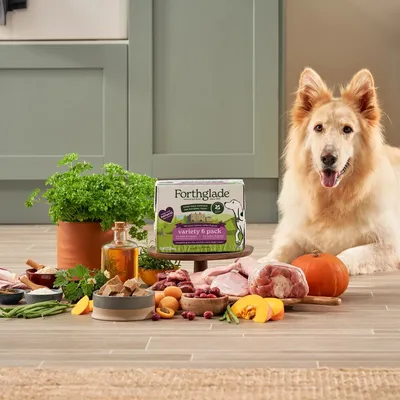 Box labelled 'Forthglade variety 6 pack' displayed with fresh ingredients including meat, vegetables and herbs, alongside a dog lying nearby.