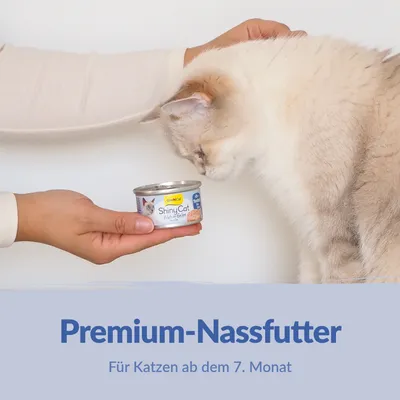 Sparpaket GimCat ShinyCat Filet in Brühe 24 x 70 g Sparpaket GimCat ShinyCat Filet in Brühe 24 x 70 g