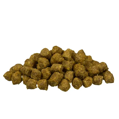 Pile of brown dry food pieces, compact shape and uniform size.