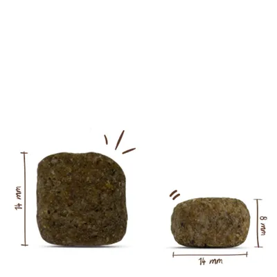 Kroketten mit Abmessungen: 14 mm hoch und breit, Seitenansicht 8 mm hoch. Zeigt Größe und Form der Kroketten. Kroketten mit Abmessungen: 14 mm hoch und breit, Seitenansicht 8 mm hoch. Zeigt Größe und Form der Kroketten.