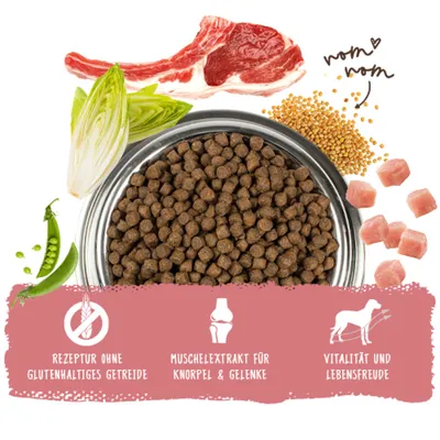 Futternapf mit Trockenfutter, umgeben von Fleisch, Gemüse und Getreide. Text: Rezeptur ohne glutenhaltiges Getreide, Muschelextrakt für Knorpel & Gelenke, Vitalität und Lebensfreude. Futternapf mit Trockenfutter, umgeben von Fleisch, Gemüse und Getreide. Text: Rezeptur ohne glutenhaltiges Getreide, Muschelextrakt für Knorpel & Gelenke, Vitalität und Lebensfreude.