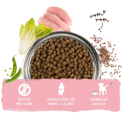 Futternapf mit Trockenfutter, Erbsen, Chicorée, Hähnchenfleisch und Leinsamen. Text: Rezeptur ohne Weizen, Muschelextrakt für Knorpel & Gelenke, harmonisches Wachstum. Futternapf mit Trockenfutter, Erbsen, Chicorée, Hähnchenfleisch und Leinsamen. Text: Rezeptur ohne Weizen, Muschelextrakt für Knorpel & Gelenke, harmonisches Wachstum.