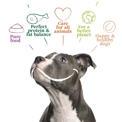 Pure food, Perfect protein & fat balance, Care for all animals, For a better planet, Happy & healthy dogs. Text above dog image with icons.