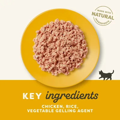 Ekonomipack: Applaws Kitten kattmat 24 x 70 g