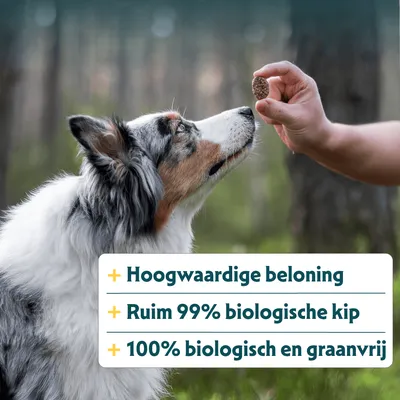 Hoogwaardige beloning, meer dan 99% biologische kip, 100% biologisch en graanvrij. Hoogwaardige beloning, meer dan 99% biologische kip, 100% biologisch en graanvrij.