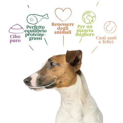 Testi visibili: Cibo puro, Perfetto equilibrio proteine-grassi, Benessere degli animali, Per un pianeta migliore, Cani sani e felici. Immagine di cane con illustrazioni.