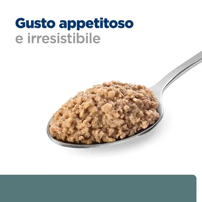 Cucchiaio con cibo umido marrone e testo: Gusto appetitoso e irresistibile.