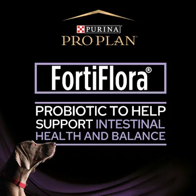Purina Pro Plan FortiFlora. Probiotic to help support intestinal health and balance. Kuvassa koira vasemmassa alakulmassa. Teksti englanniksi.