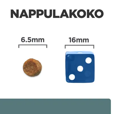 Nappulakoko: nappula 6,5 mm ja vertailun vuoksi sininen noppa 16 mm. Teksti 'NAPPULAKOKO' ylhäällä.