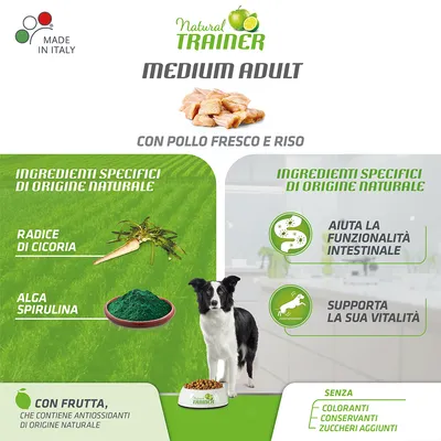 Natural Trainer Medium Adult mit frischem Huhn und Reis, Made in Italy. Mit Chicorée-Wurzel, Spirulina-Alge, Frucht-Antioxidantien. Ohne Farbstoffe, Konservierungsstoffe, Zuckerzusatz.